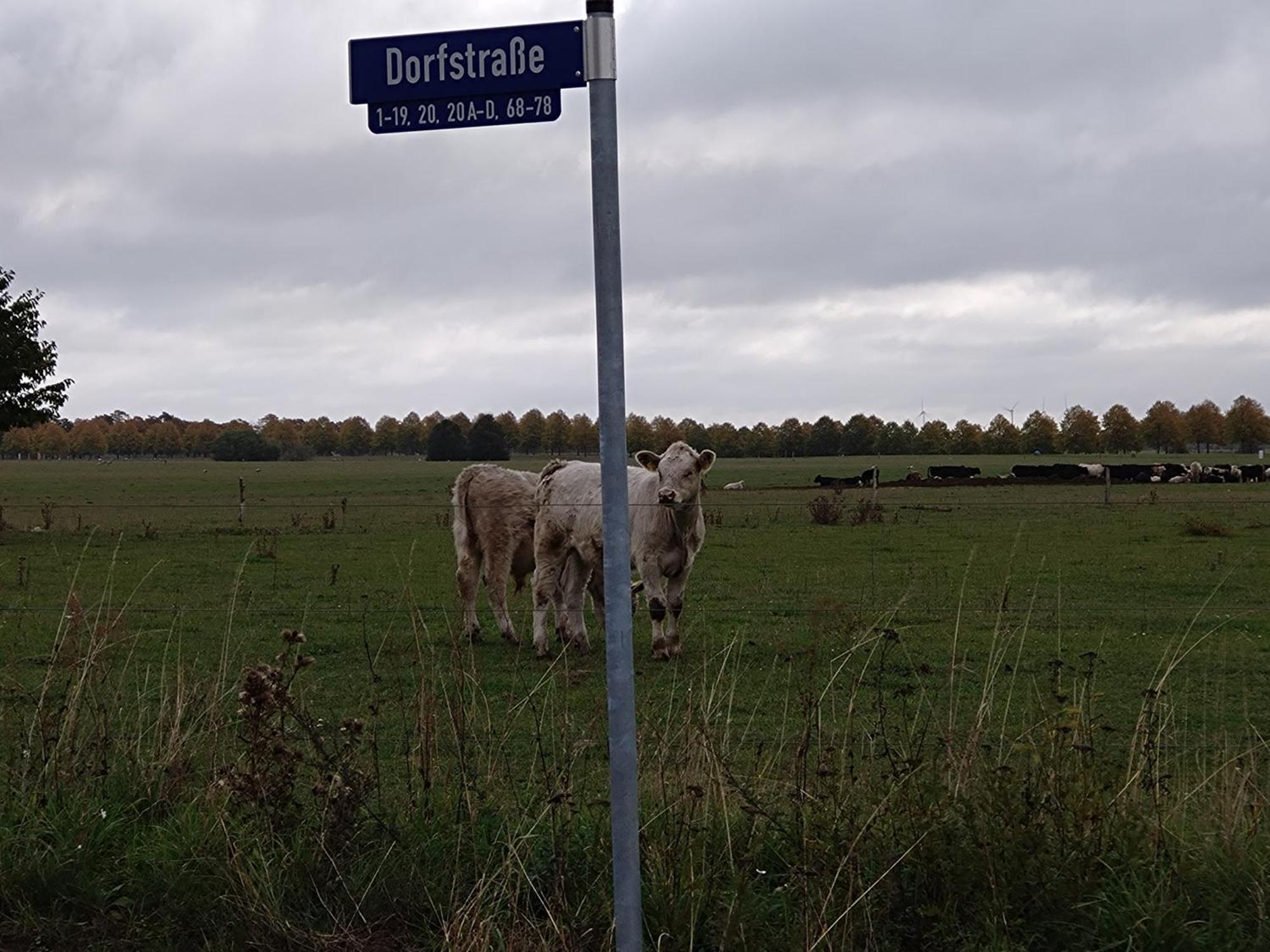 Moderne Barrierefreie Wohnung Auf Dem Land Bei Neuruppin Lichtenberg  Luaran gambar